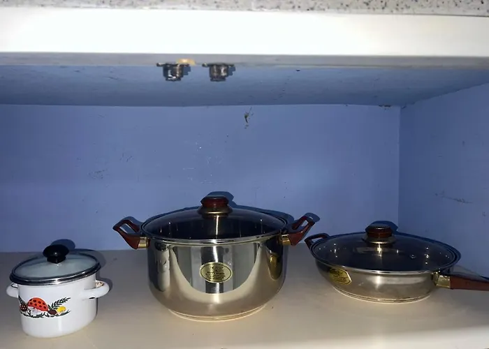 Departamento De Patricia